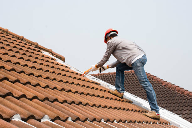 Best Hot Roofs  in Alpena, MI