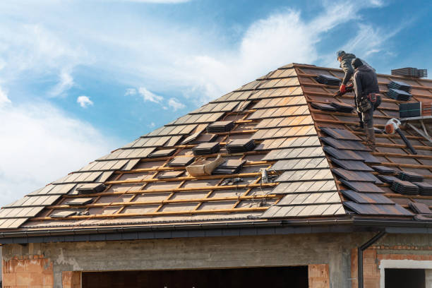 Best Asphalt Shingle Roofing  in Alpena, MI