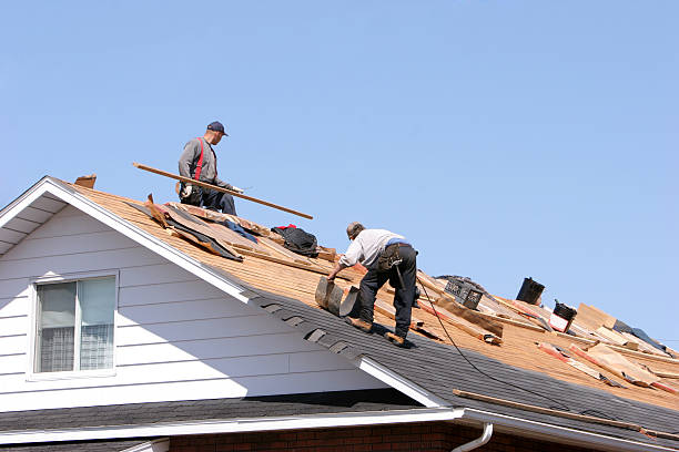 Best Solar Panel Roofing Installation  in Alpena, MI