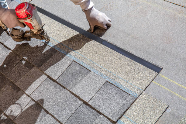 Best Roof Replacement  in Alpena, MI